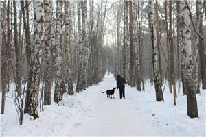 Аватара пользователя