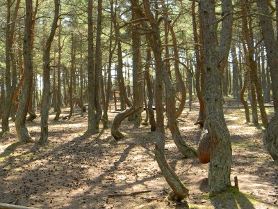DSCN9222.JPG